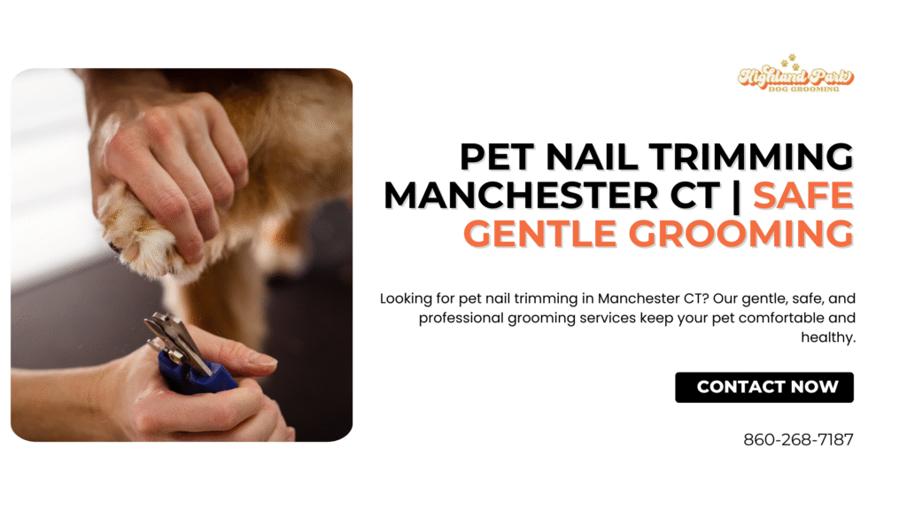 Pet nail trimming service in Manchester CT