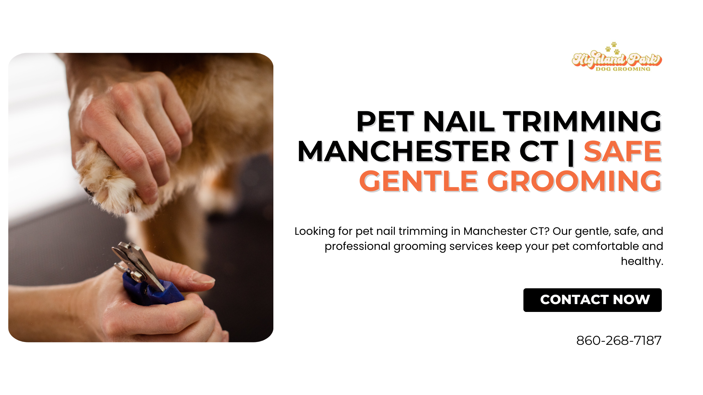 Pet nail trimming service in Manchester CT